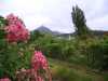2007060103_Thumb.jpg